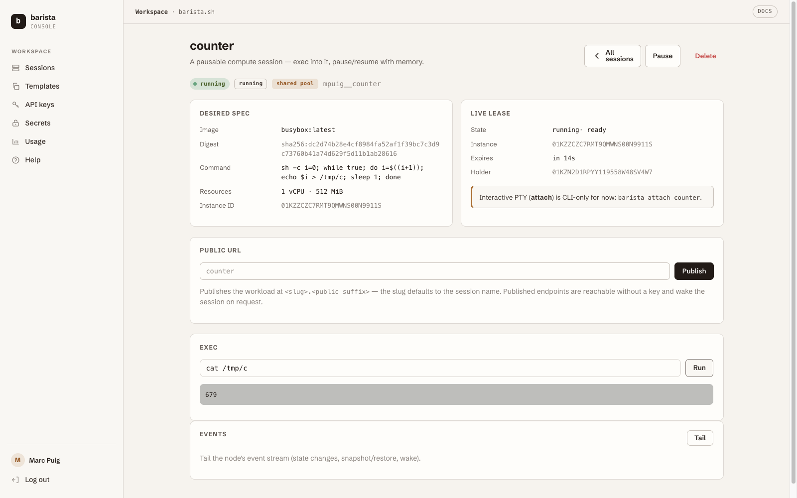 The console's session page: desired spec, live lease, and an exec that woke the auto-paused session